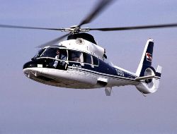 as365 01