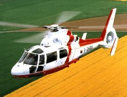 as365 03