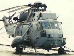 seaking 01