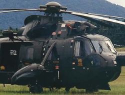 seaking 02
