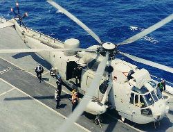 seaking 03