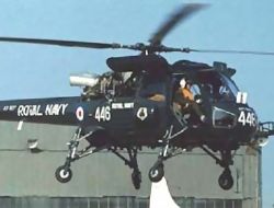 wasp 01