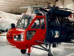 wasp 02